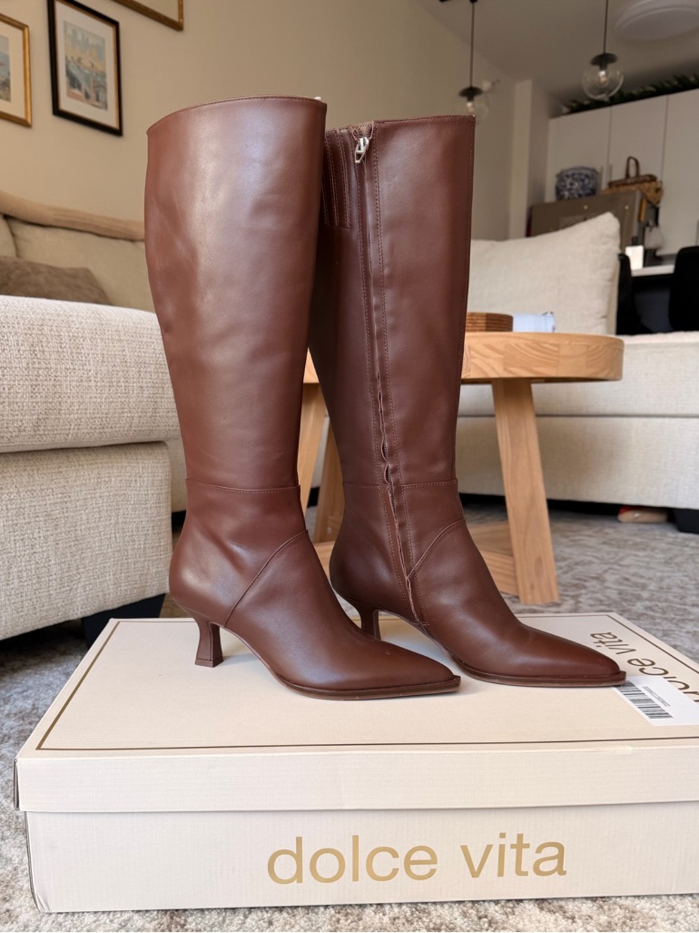 Dolce Vita Tall Brown Leather Pointed-Toe Knee Boots
